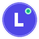 Custom LLM Provider